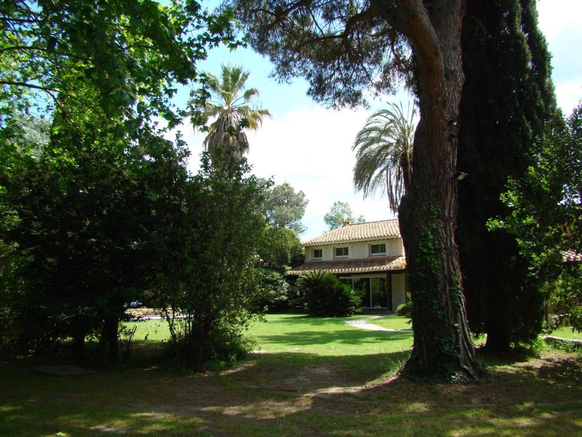 La Villa Saint Andre - Argeles Sur Mer Bagian luar foto